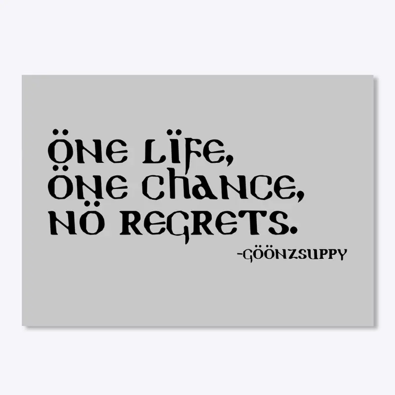 One Life, One Chance, No Regrets.